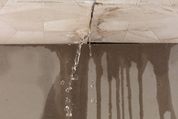 Professional Structural Drying technician working in Taylor, TX